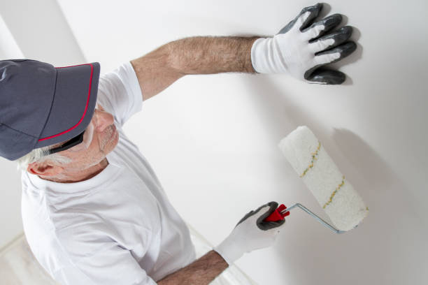 Best Black Mold Removal  in Mount Olive, NC