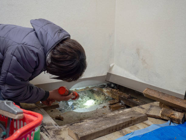 Best Biohazard Mold Removal  in Mount Olive, NC