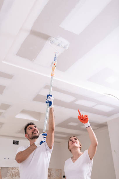 Best Comprehensive Air Testing for Mold Contaminants  in Mount Olive, NC