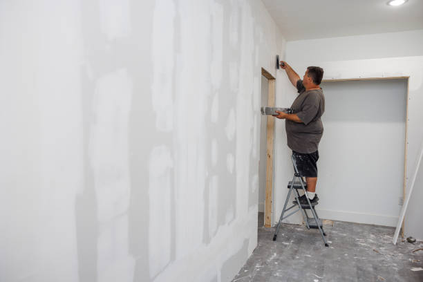 Biohazard Mold Removal in Mount Olive, NC